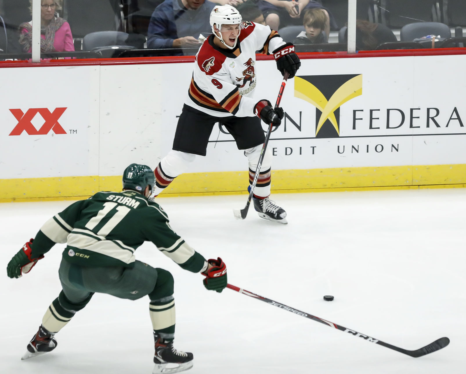 Tucson Roadrunners vs Iowa Wild